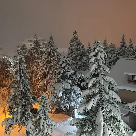 Lukic * Zlatibor